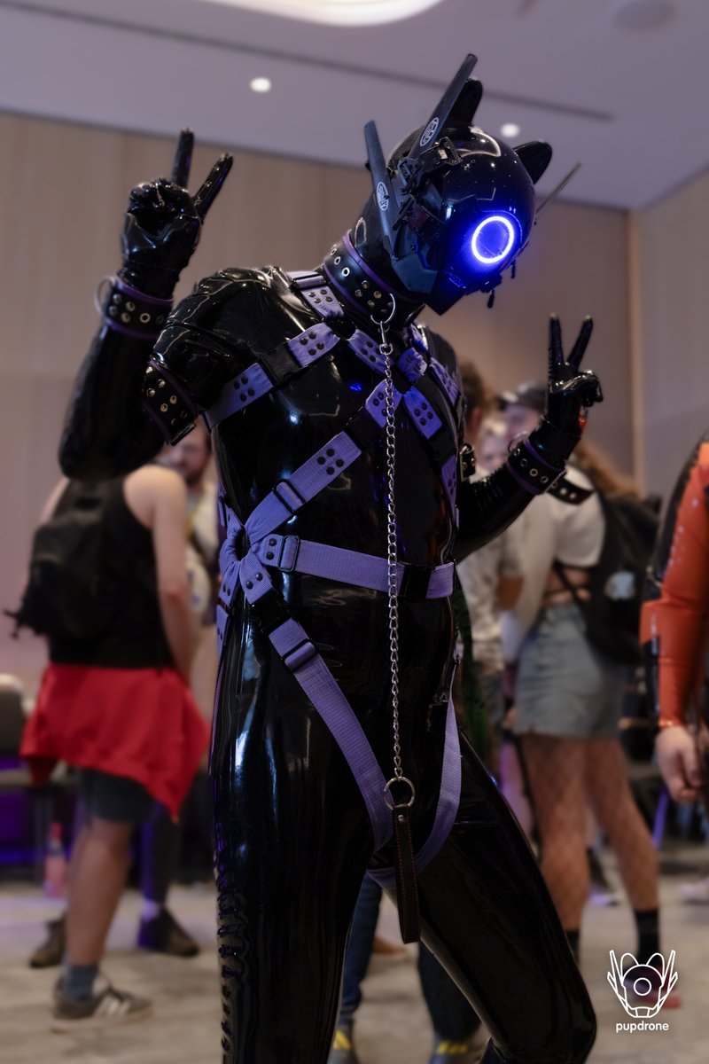 Pupdrone tweet media