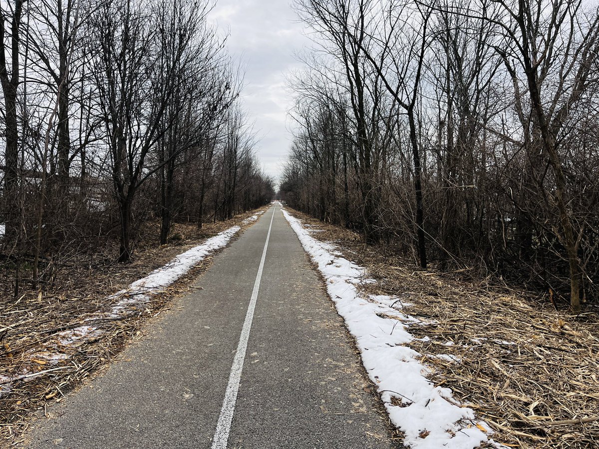 LauraABuckner's tweet image. Short walk on the @B_Otrail today - they’re clearing it up quite a bit :)

#railstotrails