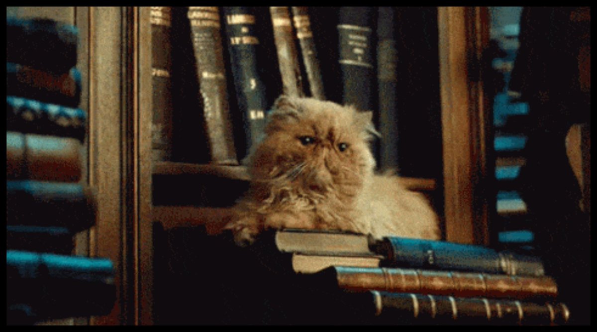 SanMavy's tweet photo. "Povero Grattastinchi, la strega ha detto che ce l'aveva in negozio da un secolo, nessuno lo voleva».

#HarryPotter https://t.co/iIDajdEA4i