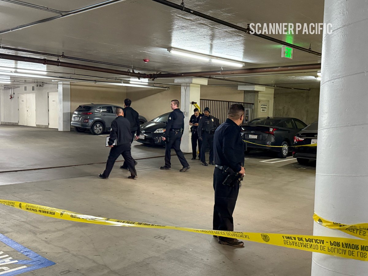 Scanner Pacific tweet media