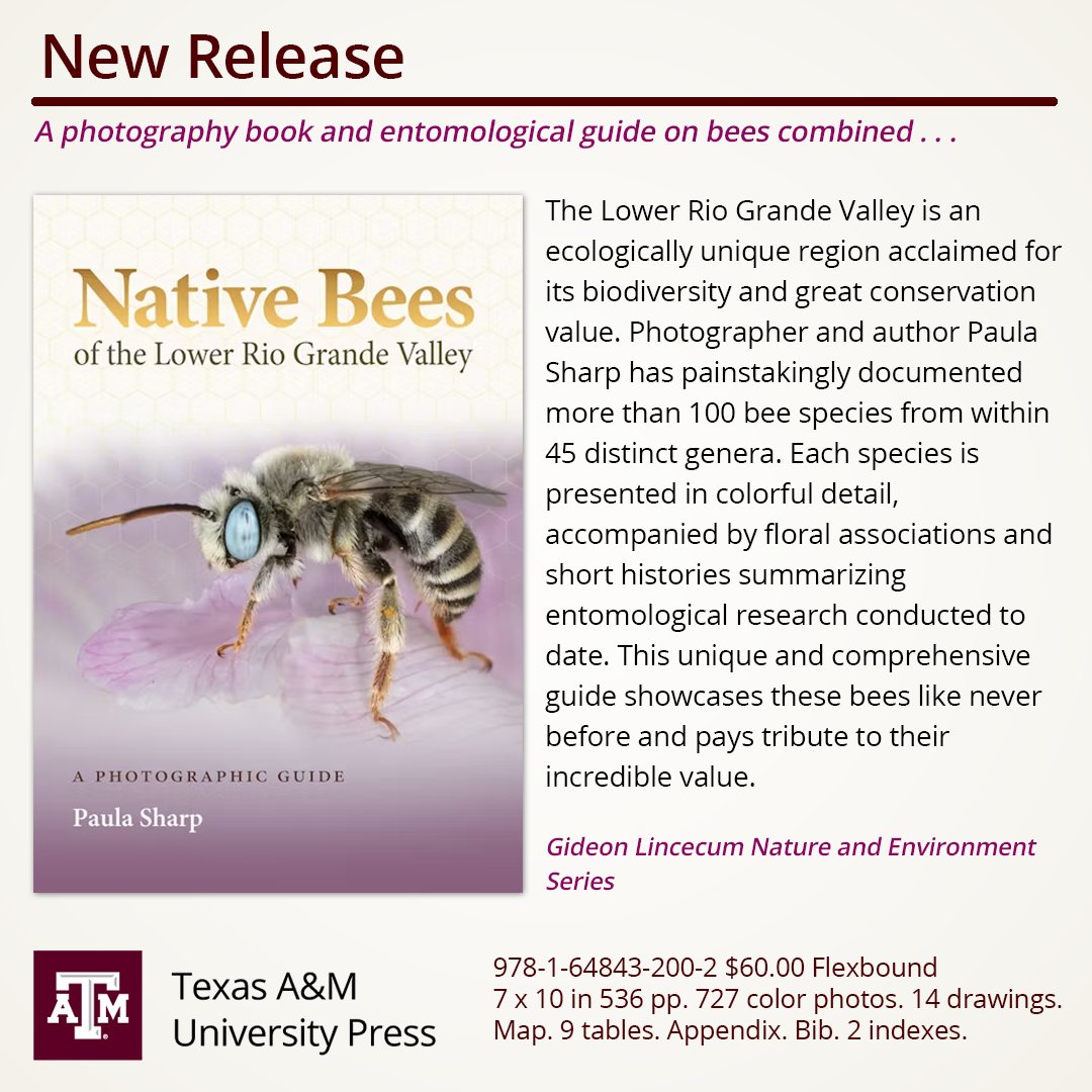 This dazzling authoritative guide to #nativebee species in the #TexasRioGrandeValley will be of interest to avocational &amp; professional naturalists, #entomologists, conservationists, apiculturists, &amp; nature enthusiasts, inside or outside of the region. bit.ly/40Azly1