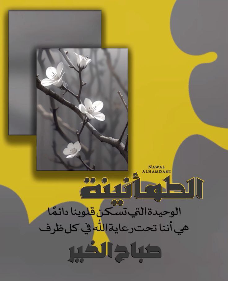 125060Hima's tweet photo. @hanysoliman1978 كل عام وحضرتك بخير وصحه وسعاده يارب عيد ميلاد سعيد وعمر مديد وكل ما تتمني يارب https://t.co/ZUqLkW80vO