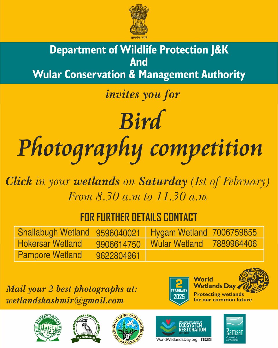 wularevival's tweet photo. Bird Photography Competition 2025. Calling all nature lovers and photography enthusiasts! Join us on February 1, 2025, for an exciting Bird Photography Competition in the breathtaking wetlands of Kashmir: #Shallabugh #Hokersar #Pampore #Hygam & #Wular
#BirdPhotography https://t.co/gCMjE1ynZ7