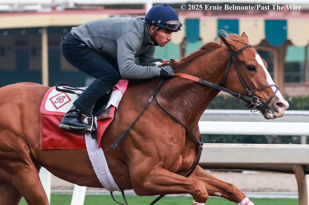 British Isles (5F: 1:00.40 H) working this morning under <a href="/JockeyHerrera/">Diego Herrera</a>.