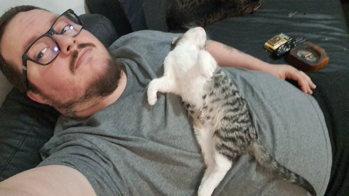 Jack66689746's tweet photo. Mai svegliare il gatto che dorme 🤣😎 https://t.co/cIALOBhQTB