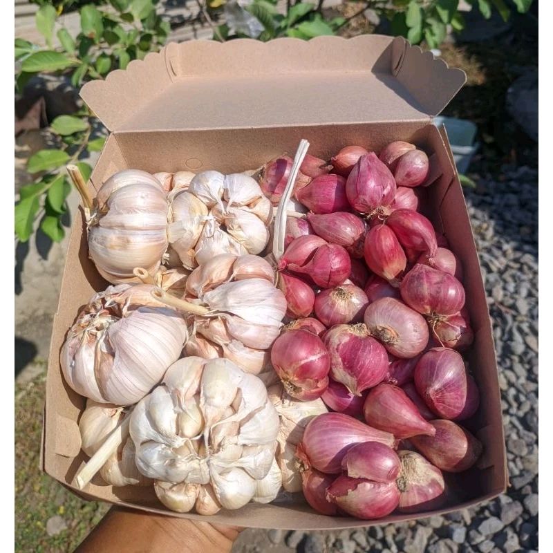 RichelleEdita's tweet photo. Cek PAKET BAMER BAPUT SINCO 500 GRAM MURAH dengan harga Rp18.999. Dapatkan di Shopee sekarang! https://t.co/ipCbEbZGUz https://t.co/jbvpeuRkIY