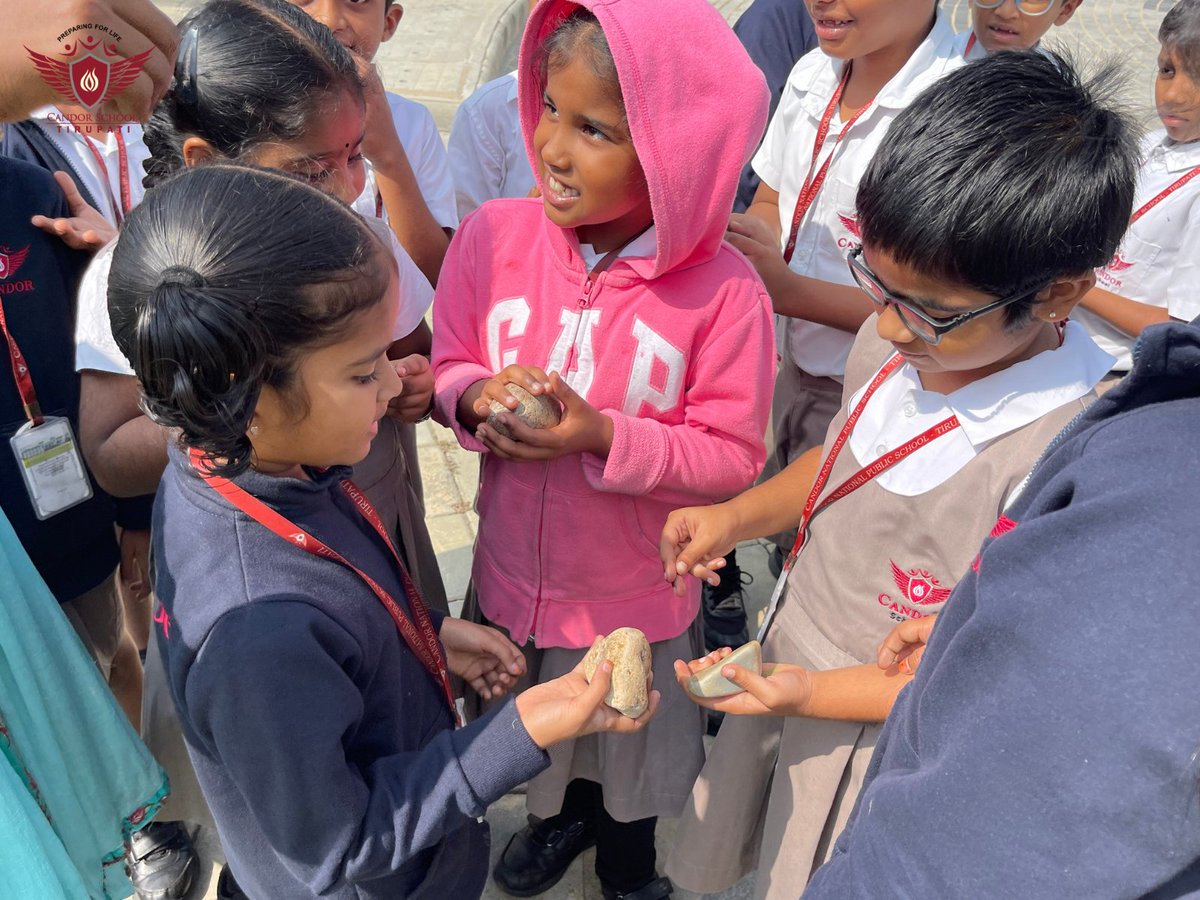 CandorPublic's tweet photo. Our primary students became little geologists, exploring igneous, sedimentary & metamorphic rocks right on campus! Hands-on learning makes science exciting! #CandorSchool #Tirupati #CandorNPS #CBSE #RockExplorers #YoungGeologists #HandsOnScience https://t.co/2fcfyUEWyp