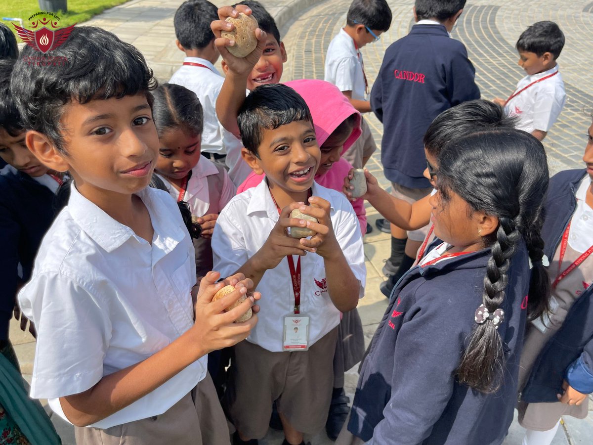 CandorPublic's tweet photo. Our primary students became little geologists, exploring igneous, sedimentary & metamorphic rocks right on campus! Hands-on learning makes science exciting! #CandorSchool #Tirupati #CandorNPS #CBSE #RockExplorers #YoungGeologists #HandsOnScience https://t.co/2fcfyUEWyp