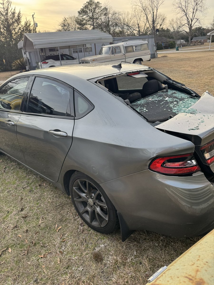 tortured randa tweet media