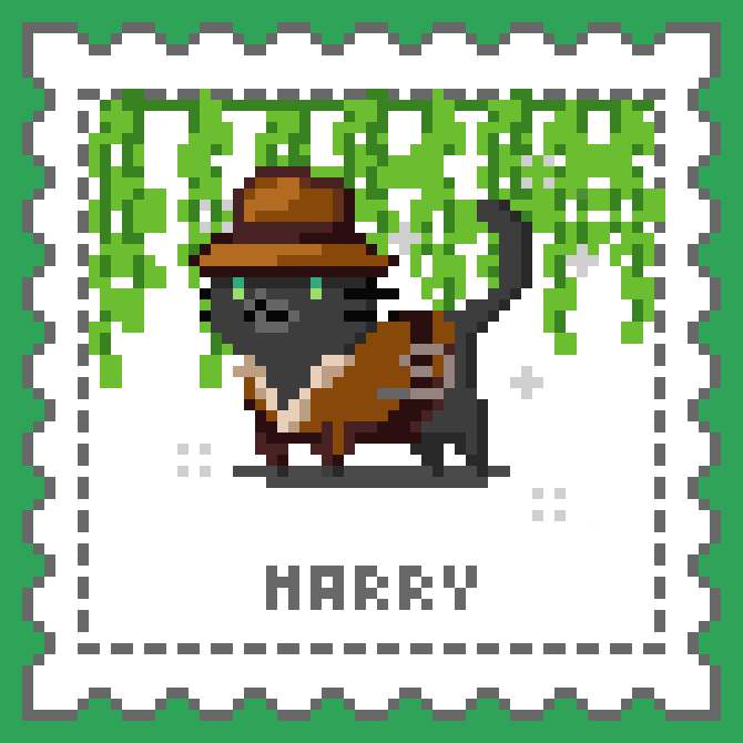 Cat Town tweet media