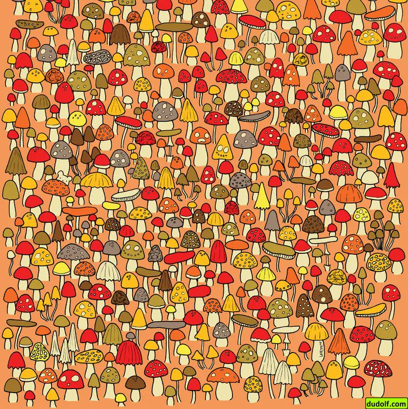 MAGA_MELISSA_69's tweet photo. ๐ญ๐ A tiny mouse is hiding among these mushrooms! Can you find it in under 60 seconds? ๐๐ Put your observation skills to the test! โณ #OpticalIllusion #BrainTeaser #FindTheMouse https://t.co/NWInTb8rgs