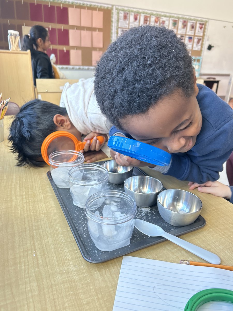 Salt, sugar or baking soda? Which will melt ice the fastest? The Kinder Bears made predictions and tested their theories with this fun science experiment! ❄️🔍 <a href="/BernadetteOCSB/">St Bernadette OCSB</a>