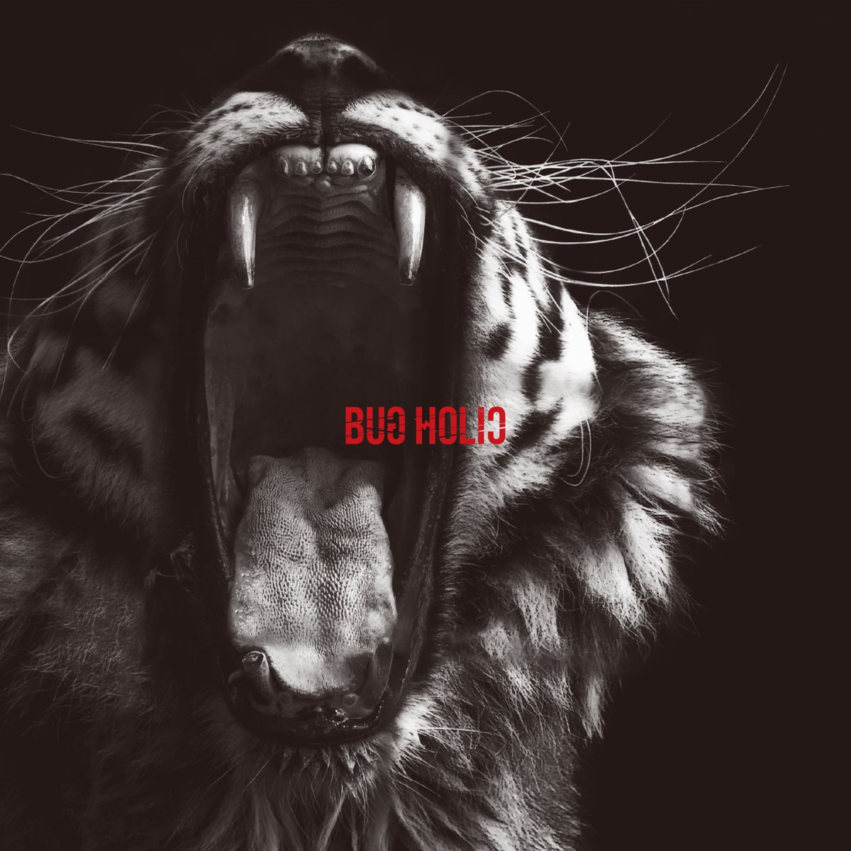 Bug Holic tweet media