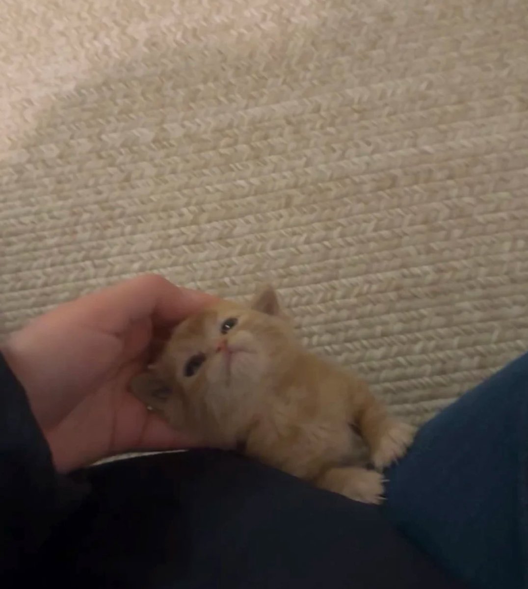 ลูบอีกจิ ลูบอีก