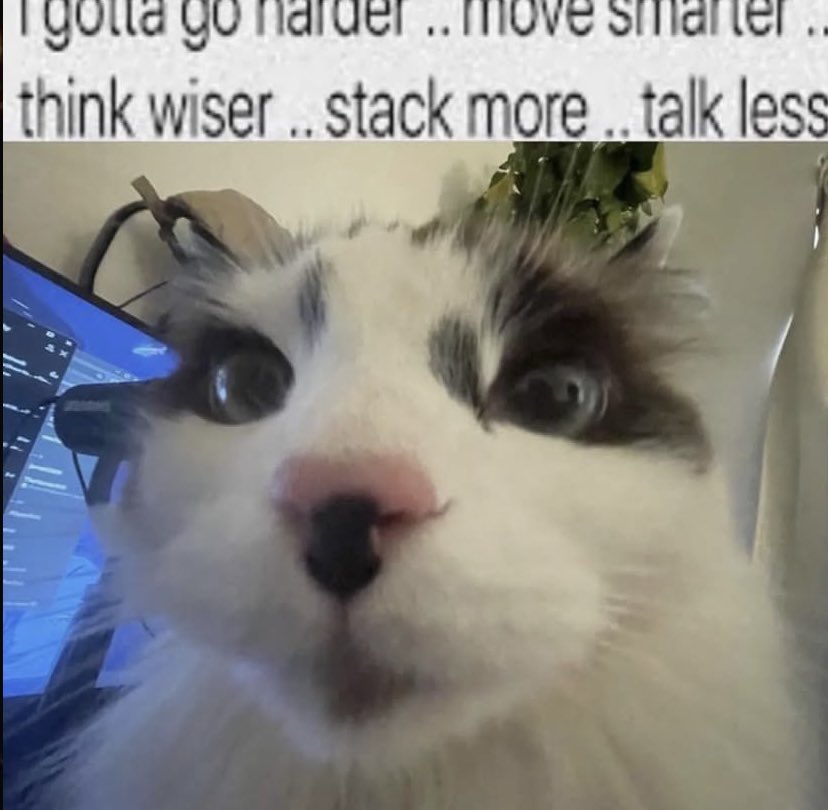 UnspunLemonz's tweet photo. @fl0m Best opinion I’ve ever seen on Twitter this goes hard https://t.co/erVJ12jtJh