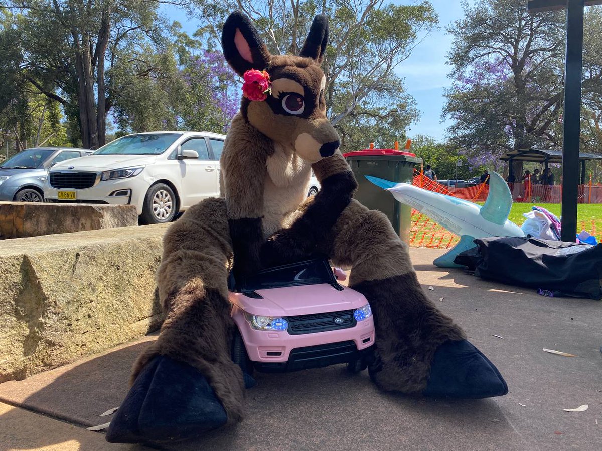 Deer 237 tweet media