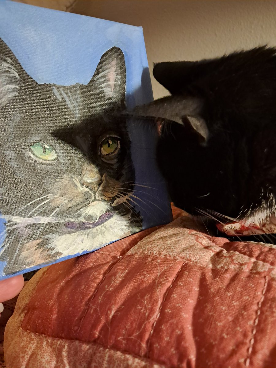mabariis's tweet photo. breaking my moratorium over here to say thank you for this adorable little portrait of our very little cat sent to us by @Chewy! we hope the artist gets our thanks as well! our beautiful little baked good (Eclair) appreciates it! https://t.co/cqVIV9WY5N
