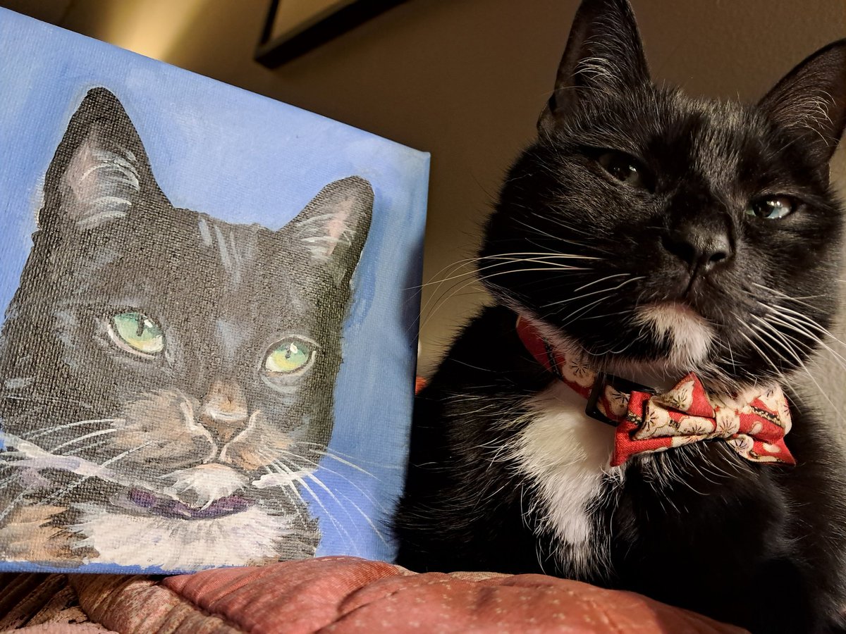mabariis's tweet photo. breaking my moratorium over here to say thank you for this adorable little portrait of our very little cat sent to us by @Chewy! we hope the artist gets our thanks as well! our beautiful little baked good (Eclair) appreciates it! https://t.co/cqVIV9WY5N