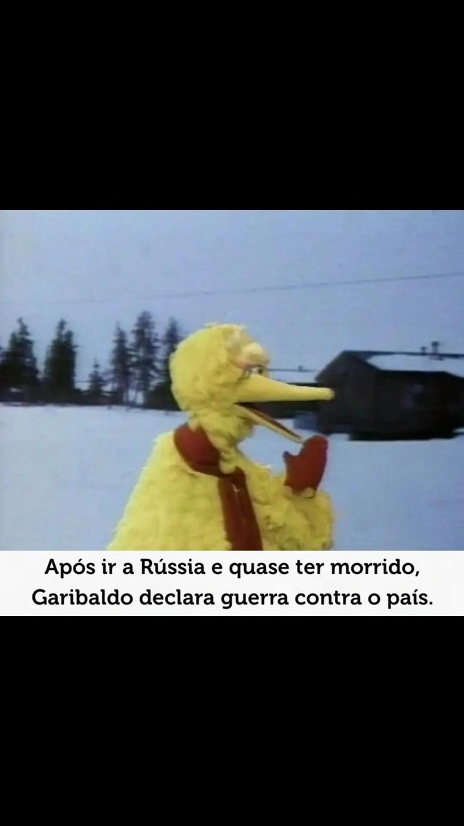 GARIBALDO tweet media