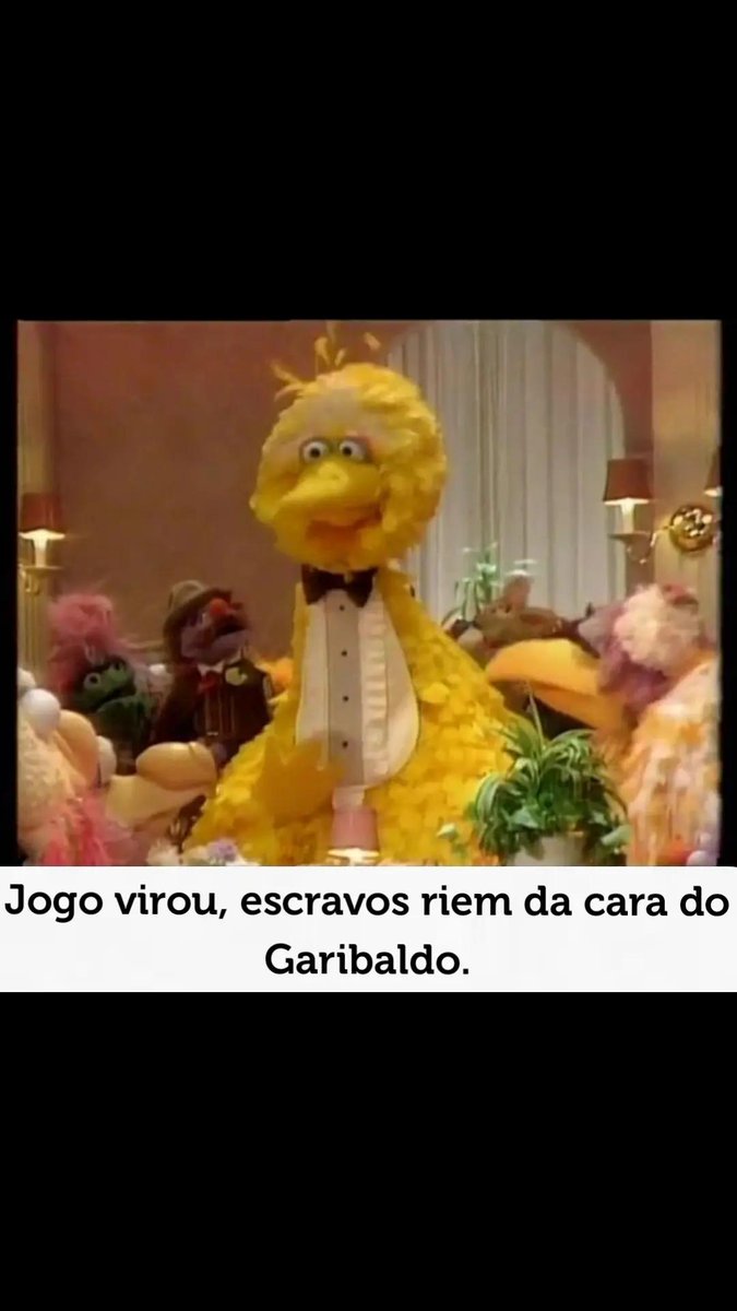 GARIBALDO tweet media