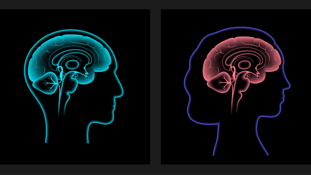 Are female &amp; male brains wired differently? Jessica Verpeut explains how the cerebellum — previously thought to be mostly involved in movement — may provide answers:
news.asu.edu/20250128-scien…