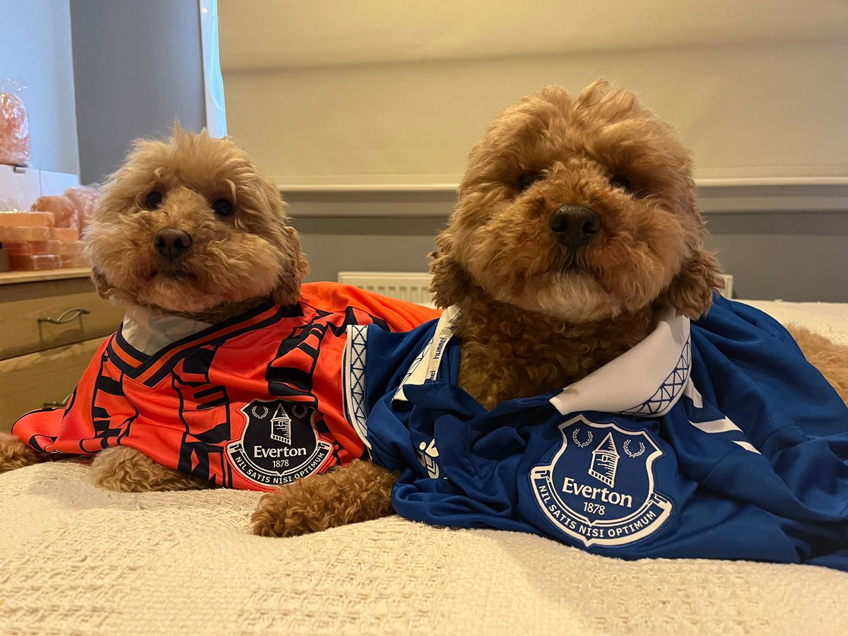 MartinMc77's tweet photo. @GiuliaBould Max and Milo xx https://t.co/IlhCWXTth5