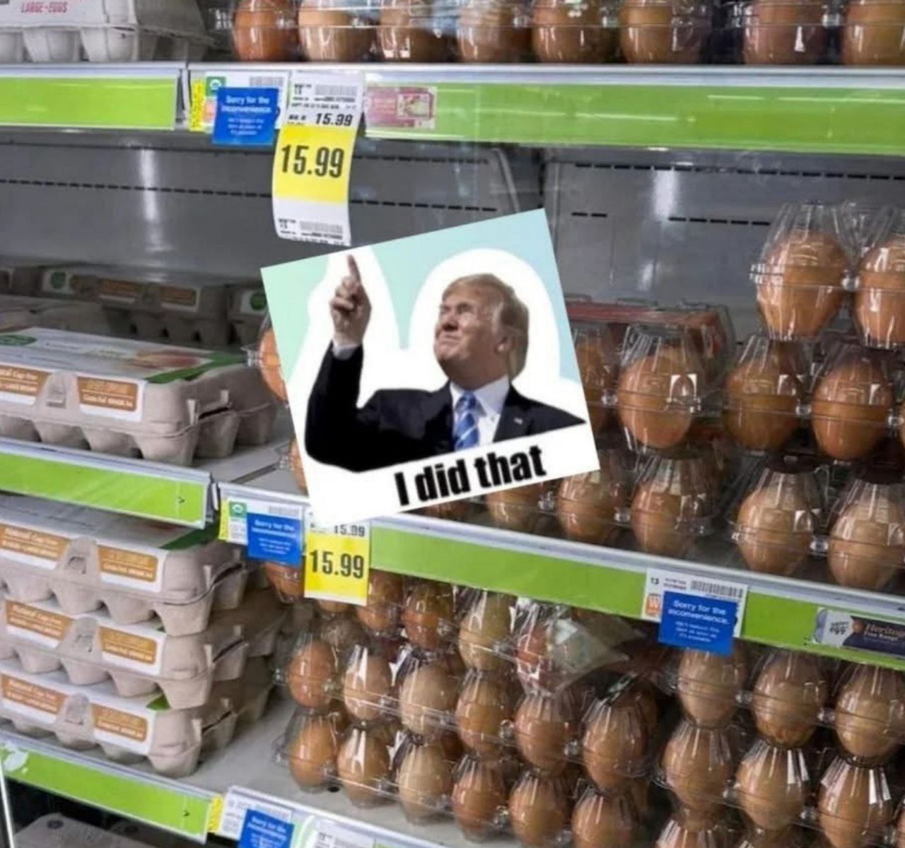 GilBjcYXUAATAyN.jpg:large