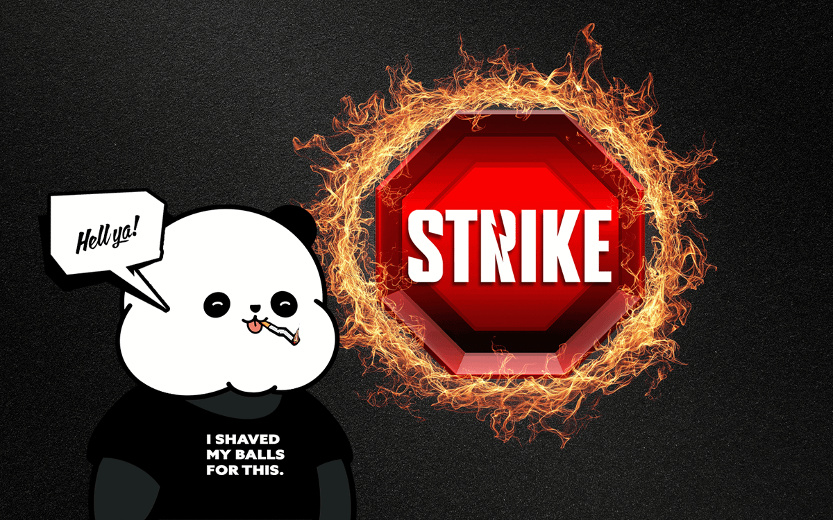 Kanpai Pandas 🐼 tweet media
