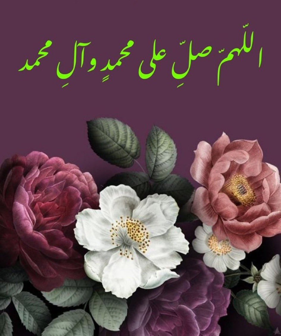 بسام زيد tweet media