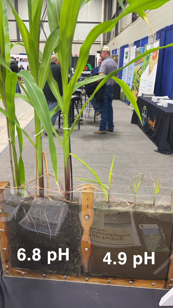 RocknRollAgrnmy's tweet photo. Soil pH/acidity demos from @NDSUsoilhealth and Chandler Gruener at KMOT Ag Expo in the @NDSoybean booth. 
@NDSU_SNRS @NDAgExpStation @NDSUExtension @rehemuti @Brady_SoilSci https://t.co/hCGAa8VMK6