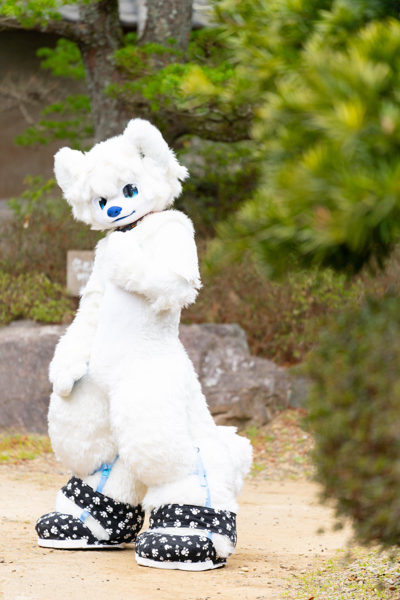 あろん🐕️🐬🐈 tweet media