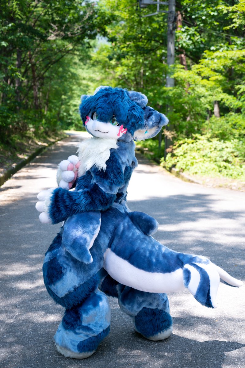 あろん🐕️🐬🐈 tweet media