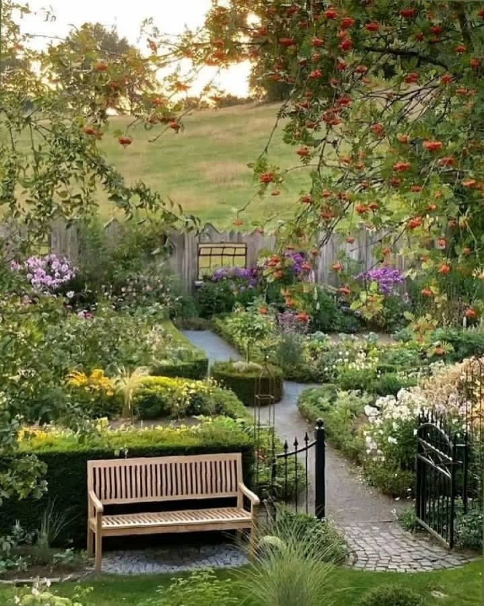 Hafsaa ✮⋆˙ tweet media