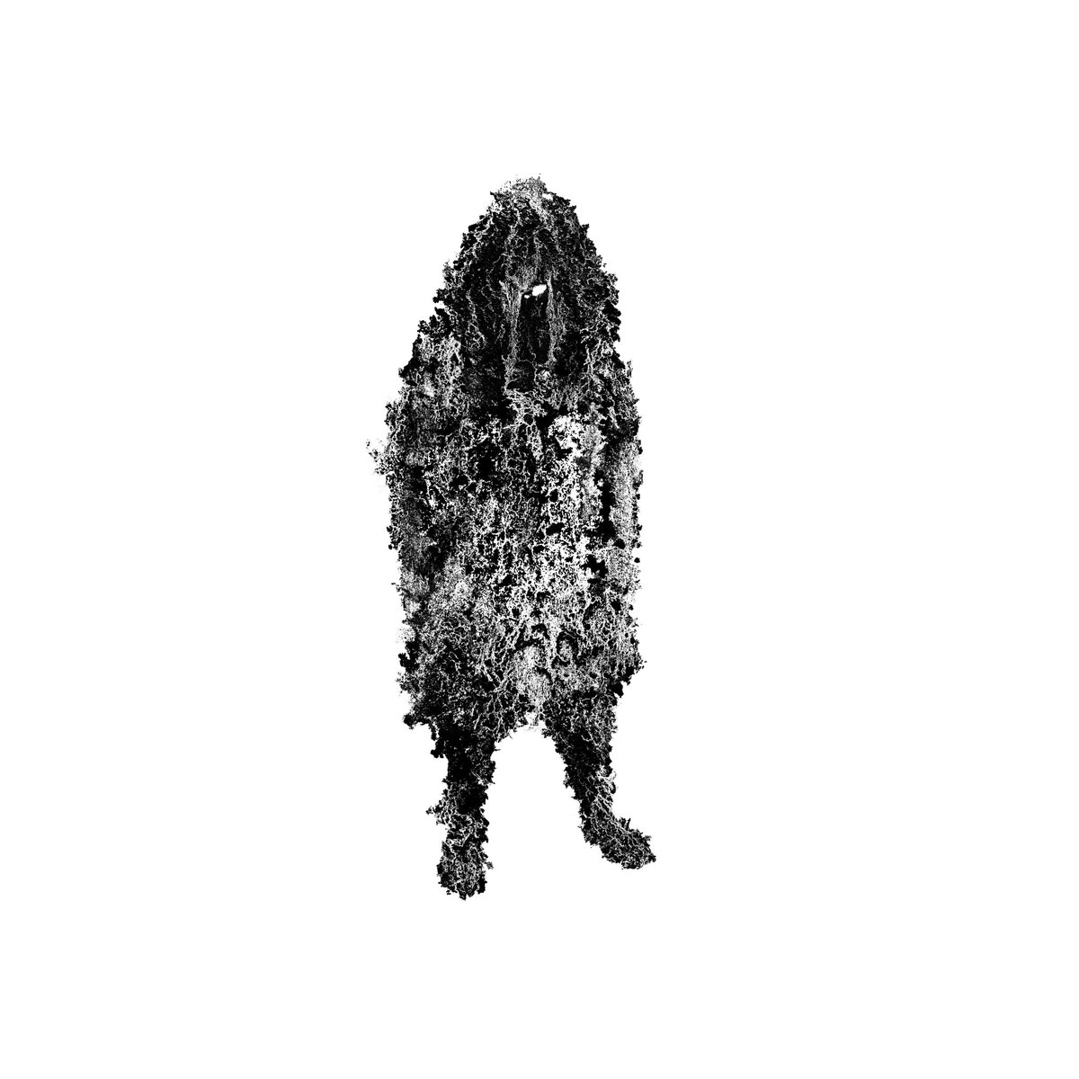 THEERUINER's tweet photo. Lichen subscribe
#mossperson #mosspeople #mossman #mossmen #mossfolk #illustration #graphite #graphitepowder #art #digitalart #moss #mossfriend https://t.co/DzD827QjC8