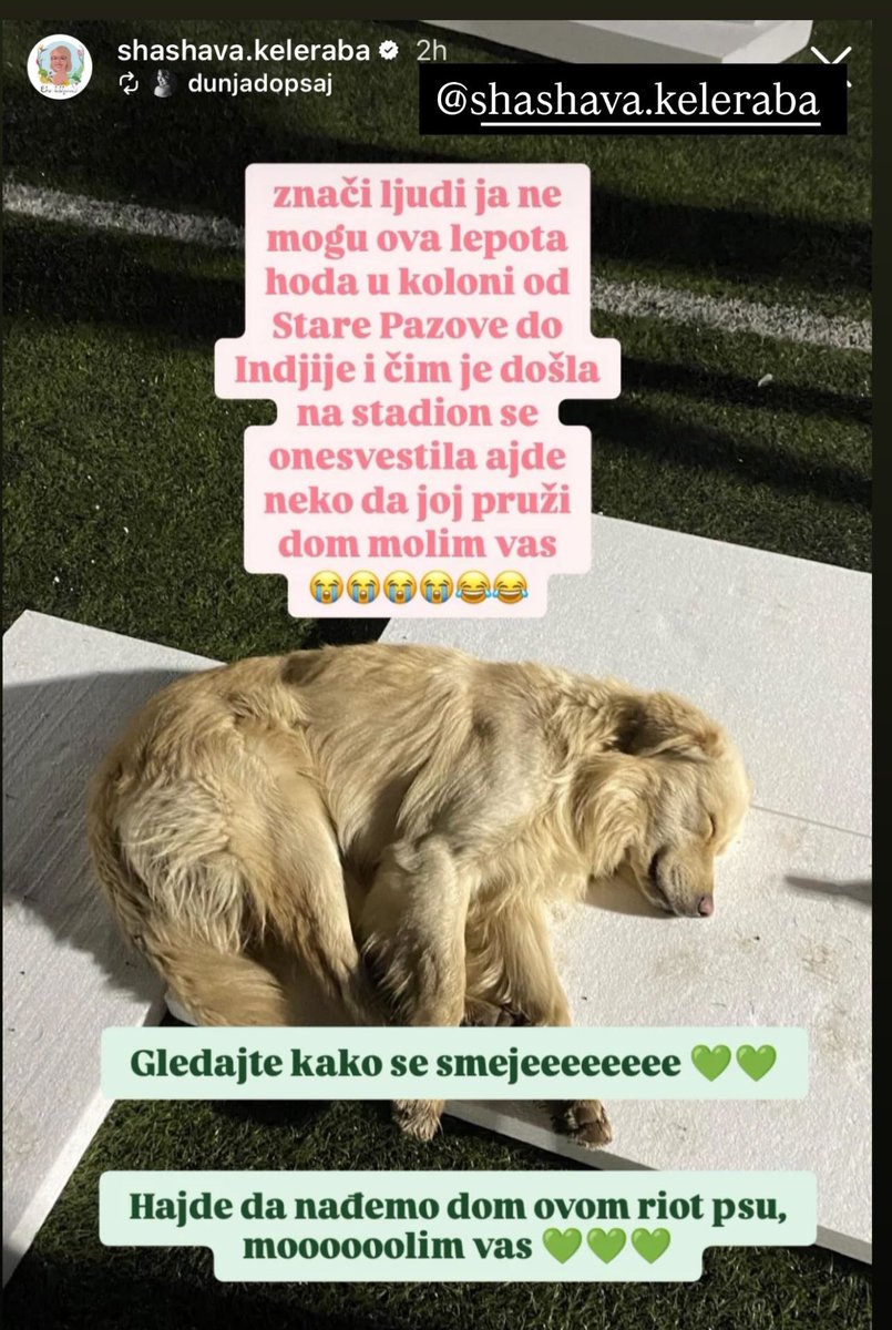 Instagram kontakt <a href="/shashava/">Jaroslava Jari</a>.keleraba