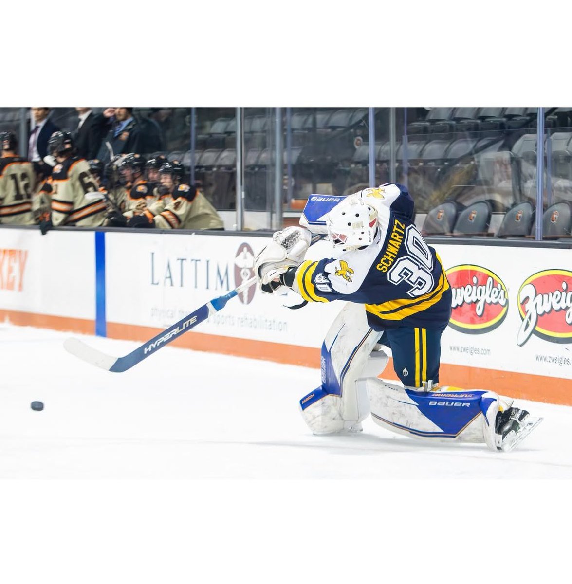 Canisius Hockey tweet media