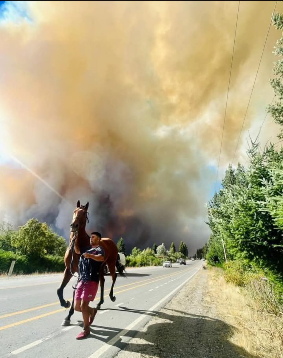 BarilocheMa's tweet photo. Ningún canal Nacional de noticias está transmitiendo el caos que tenemos en el sur de incendios
Hoy prendieron en más lugares, no cabe dudas quienes son... https://t.co/OAIdL33aDl