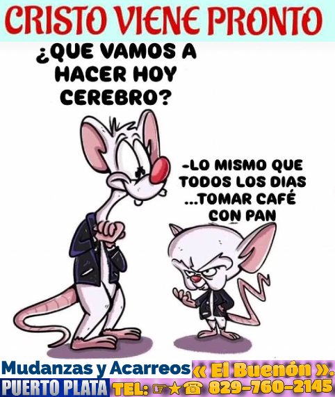 Dominicano Hasta la Tambora tweet media