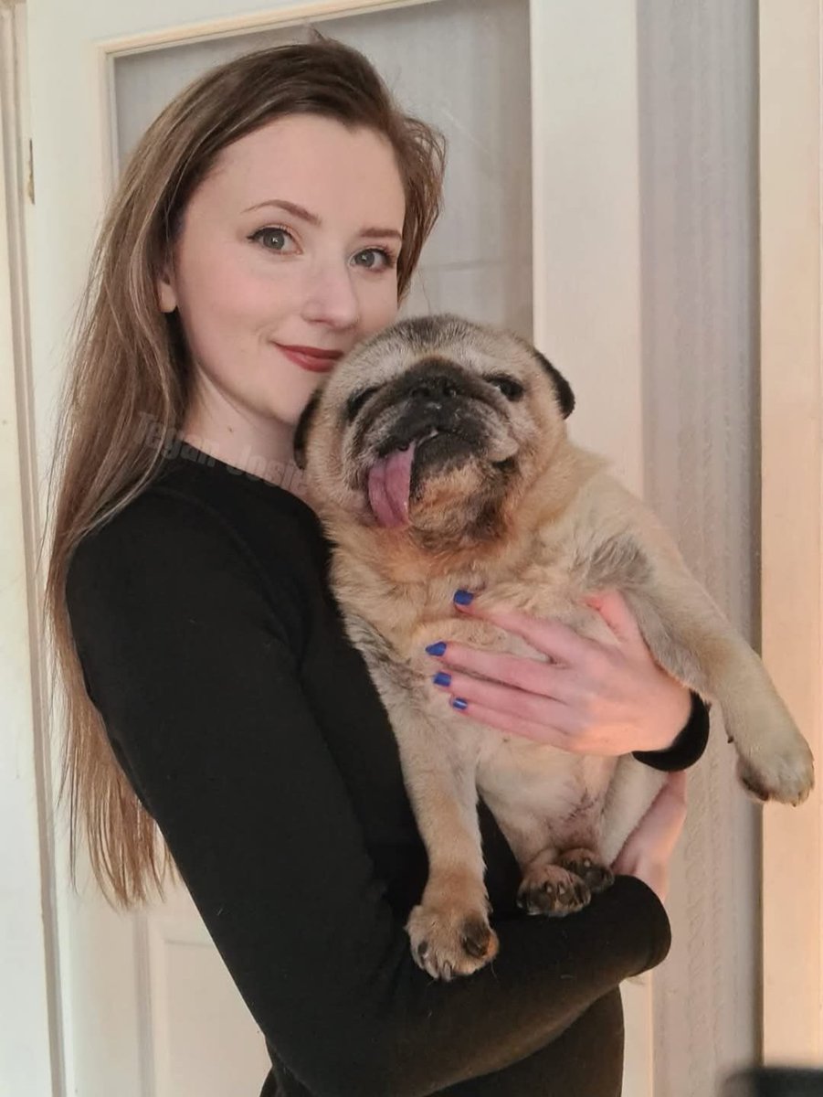 Two angels in just 8 days. I'll love you both forever and always 🤍

Moët (12.09.00) - (22.01.25)
Pugsley (13.05.12) - (30.01.25)