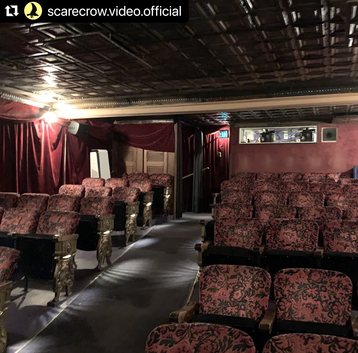 Boutonski Films tweet media