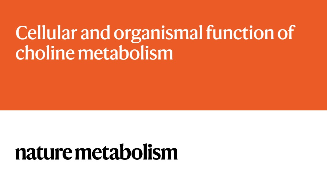 Nature Metabolism (@natmetabolism) on Twitter photo REVIEW | <a href="/KivancBirsoy/">Kivanc Birsoy</a>, <a href="/abu_remaileh/">Monther Abu-Remaileh</a> and colleagues (<a href="/RockefellerUniv/">Rockefeller University</a>, <a href="/Stanford/">Stanford University</a>)
The authors provide a broad overview of the fundamental aspects of #choline #metabolism and cellular handling, and how it impacts physiology and pathology
Read it here: rdcu.be/d76GI REVIEW | <a href="/KivancBirsoy/">Kivanc Birsoy</a>, <a href="/abu_remaileh/">Monther Abu-Remaileh</a> and colleagues (<a href="/RockefellerUniv/">Rockefeller University</a>, <a href="/Stanford/">Stanford University</a>)
The authors provide a broad overview of the fundamental aspects of #choline #metabolism and cellular handling, and how it impacts physiology and pathology
Read it here: rdcu.be/d76GI