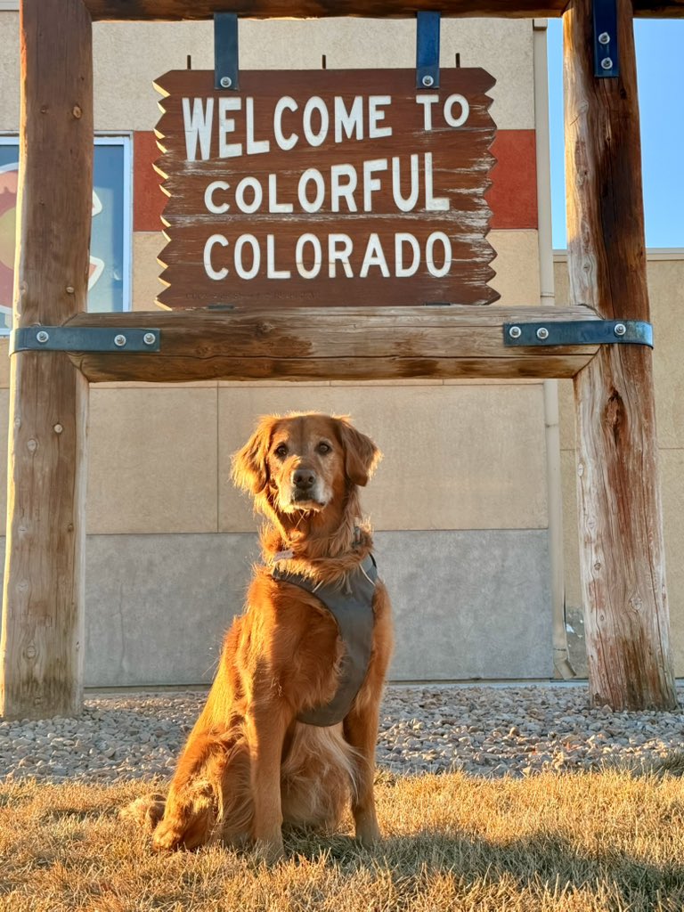 thirteenadvent's tweet photo. 🍂✨ Adventure continues as Piper proudly poses under the iconic "Welcome to Colorado" sign! We're road-tripping our way to Montana, with each mile bringing new sights and smiles. Here's to the journey, the open road, and the joy of discovery! 🐾 #ColoradoAdventures #RoadTripToMontana #PiperTheExplorer