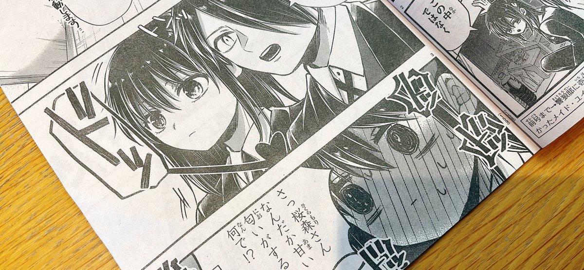 今週センターカラー頂いております🩷🩵
1巻パキッとカラーなので、こちらもめちゃ黄色にしてみました。
2月7日発売の1巻よろしくお願いします💗 