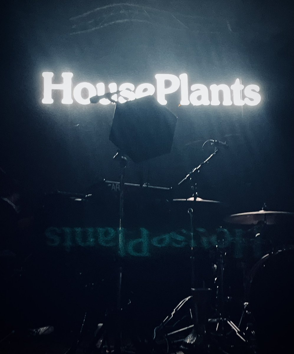 ACVDW's tweet image. The always  magnificent @HousePlantsIE 🪴💚🕺