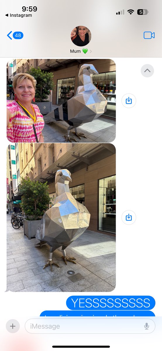 grace_sse's tweet photo. my mum: currently in rundle mall, adelaide
me: “I need you to go take a photo with the giant pigeon”

@katielovelock @SickVisor pls know you inspired this interaction xxx https://t.co/vFe2NF0I6K