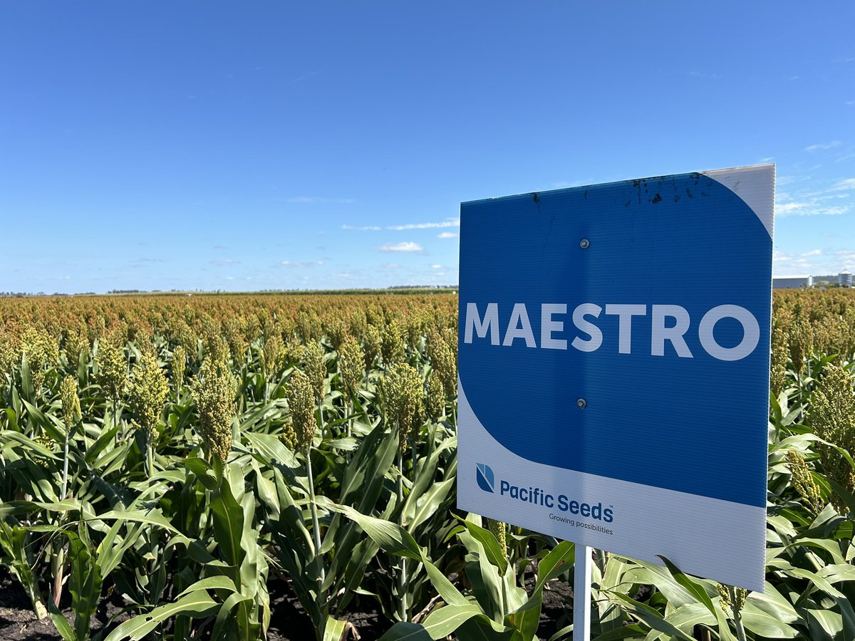 Chris Gillam tweet media