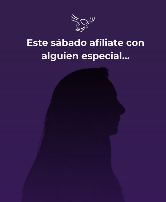 luz tweet media