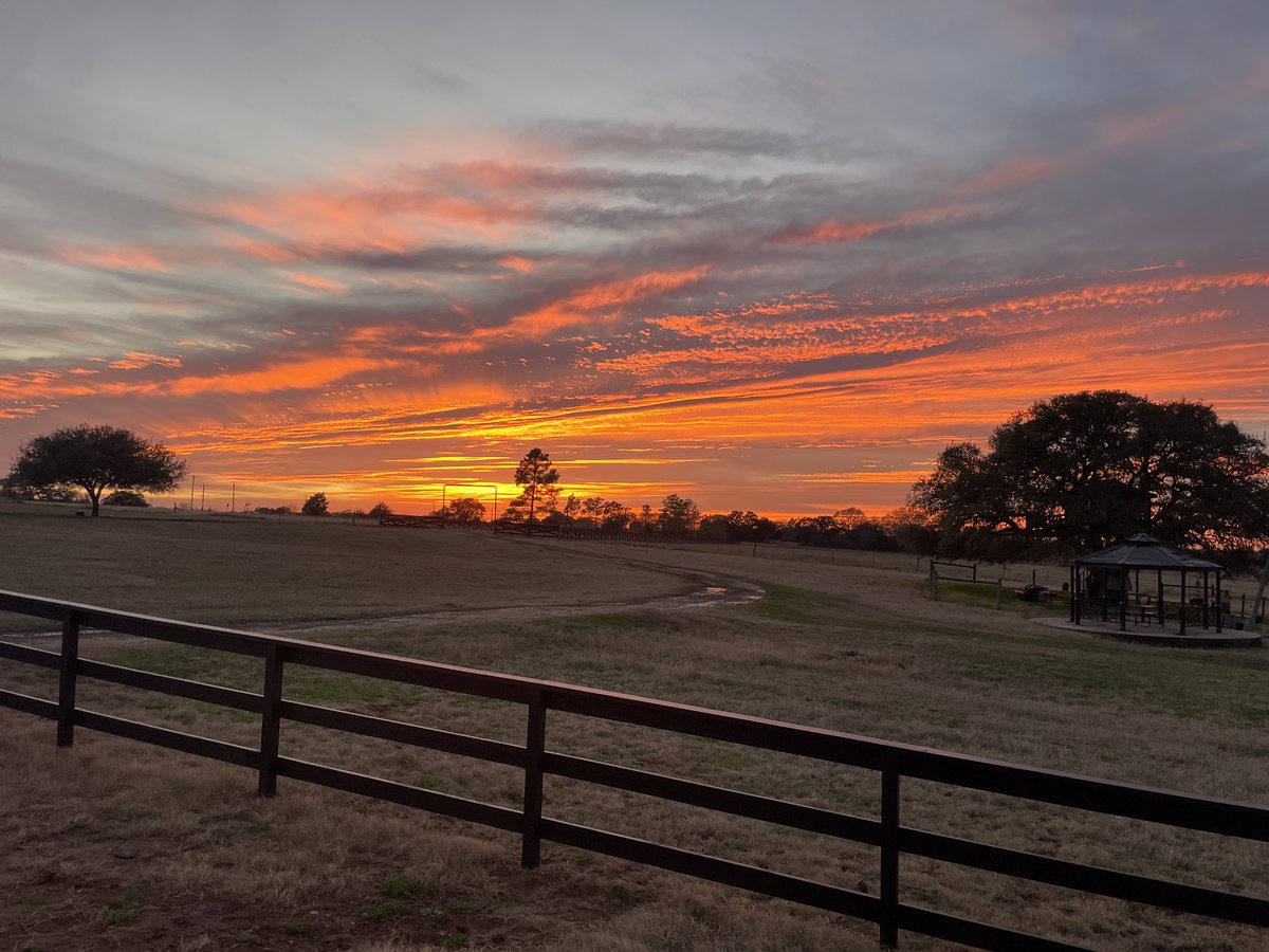 George Llanes tweet media