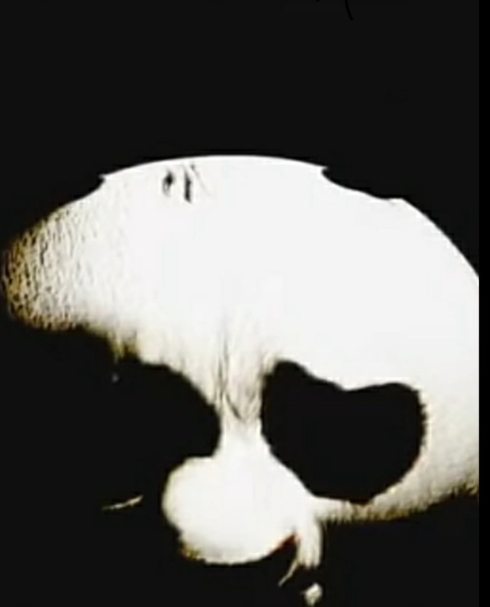KYSrandom_'s tweet photo. I’ll make you all pay… ON FOENEM GRAVE YALL GON SEE ME💯💯💯🖕🏿🖕🏿🖕🏿🤞🏿🗣️🗣️
@AnneFrank @FranklinDRoosevelt @GenghisKahn @QueenElizabeth @VyacheslavMolotov @LudwigFeuerbach https://t.co/uhSvhriymz