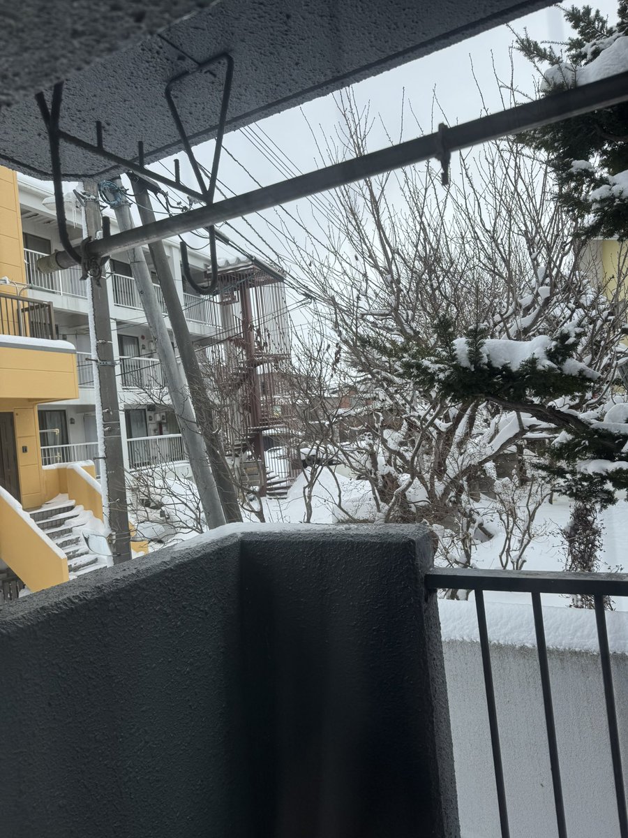 Crashdowns7 tweet media